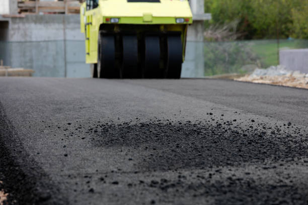 Best Local Driveway Pavers  in Wiggins, CO